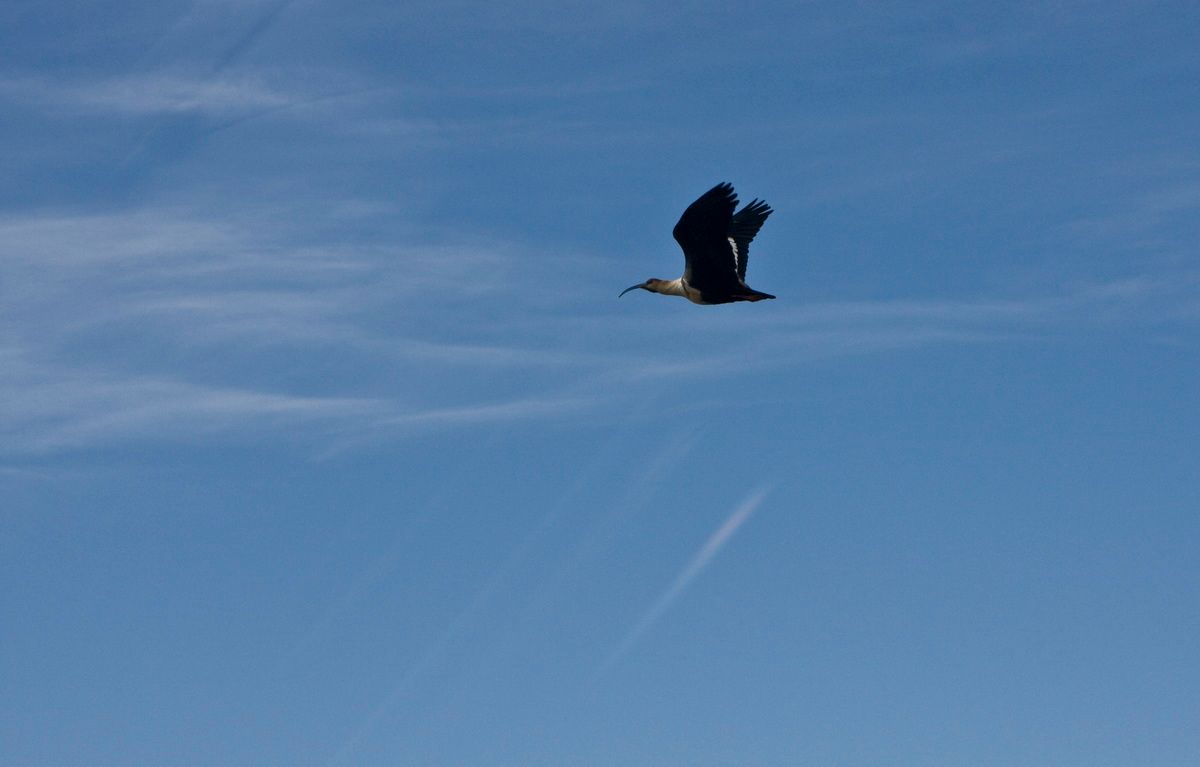 Südamerika, Argentinien, Patagonien, Trekking, Torres del Paine,  Hartmut Ulrich