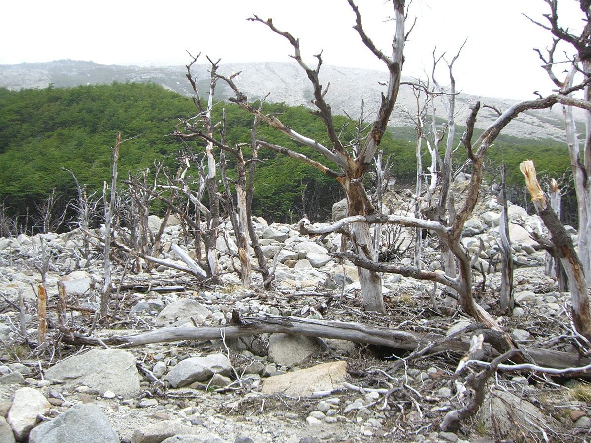 Südamerika, Argentinien, Patagonien, Trekking, Torres del Paine, Gletscher, Eis, Hartmut Ulrich