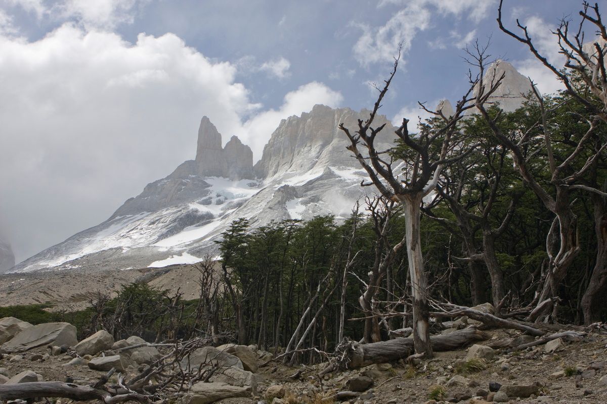 Südamerika, Argentinien, Patagonien, Trekking, Torres del Paine, Gletscher, Eis, Hartmut Ulrich