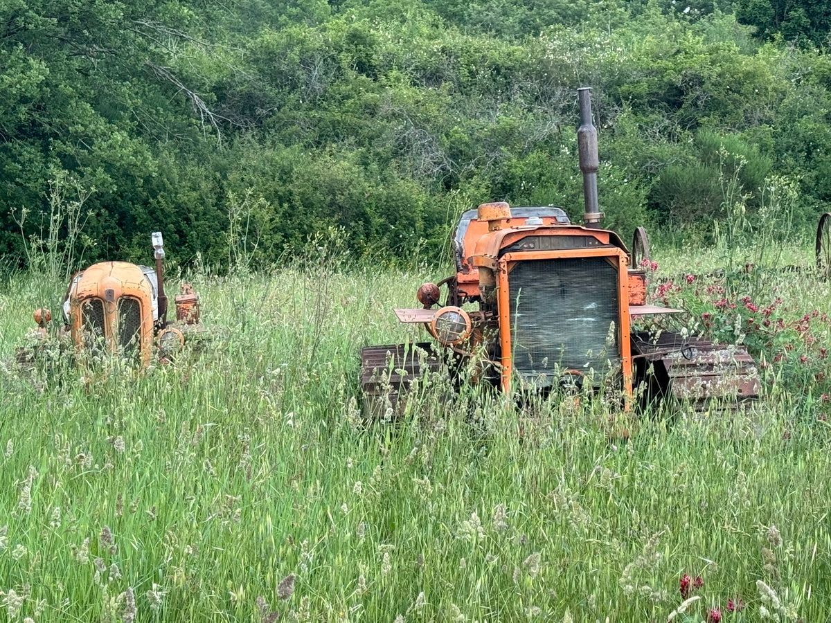 Tuscany Trail, Toskana, Gravel, Italy