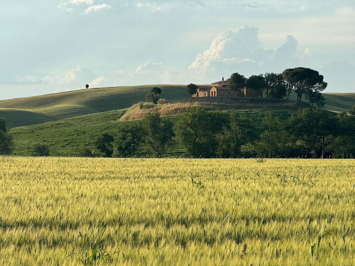 Tuscany Trail, Toskana, Gravel, Italy