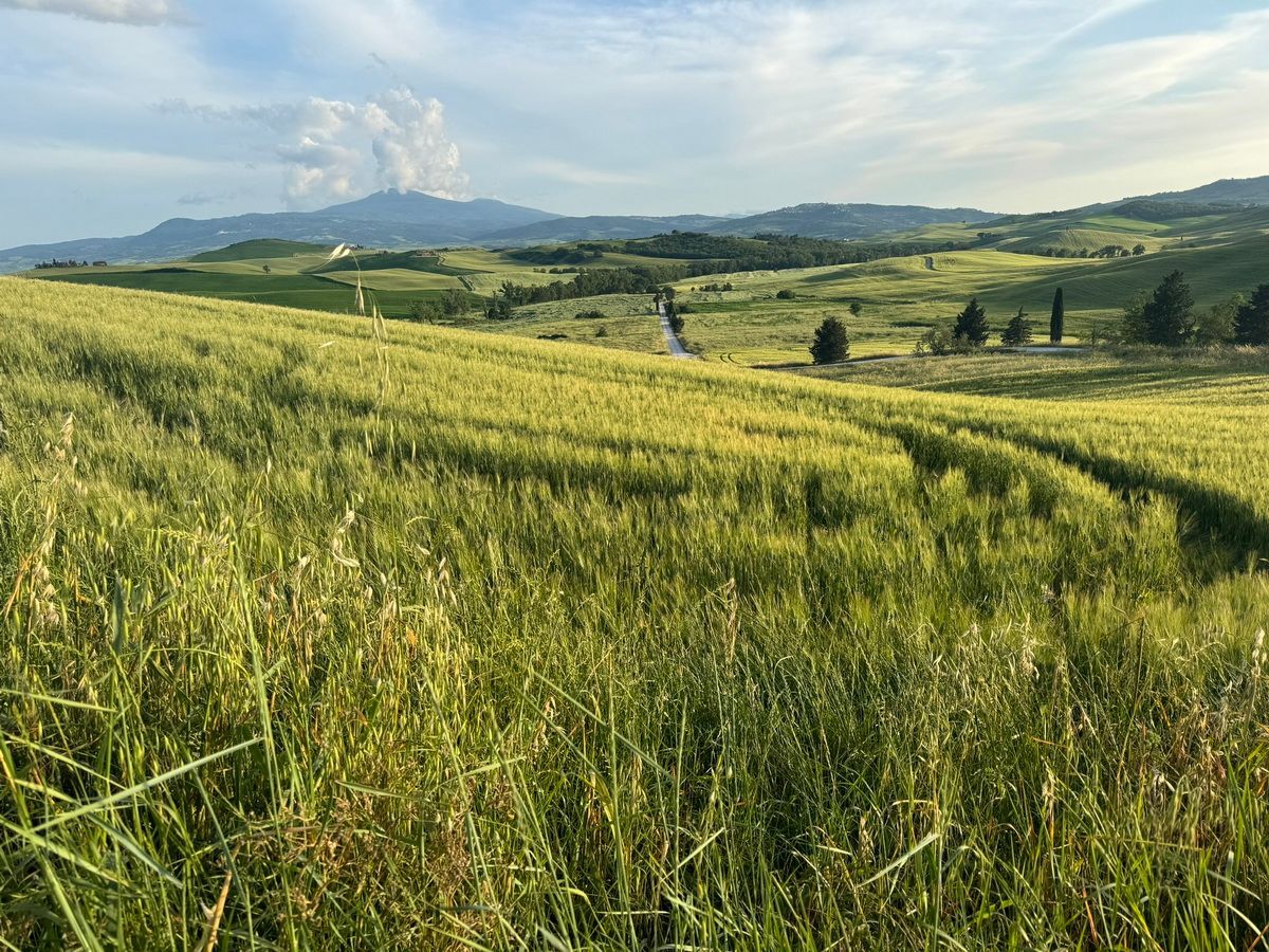 Tuscany Trail, Toskana, Gravel, Italy