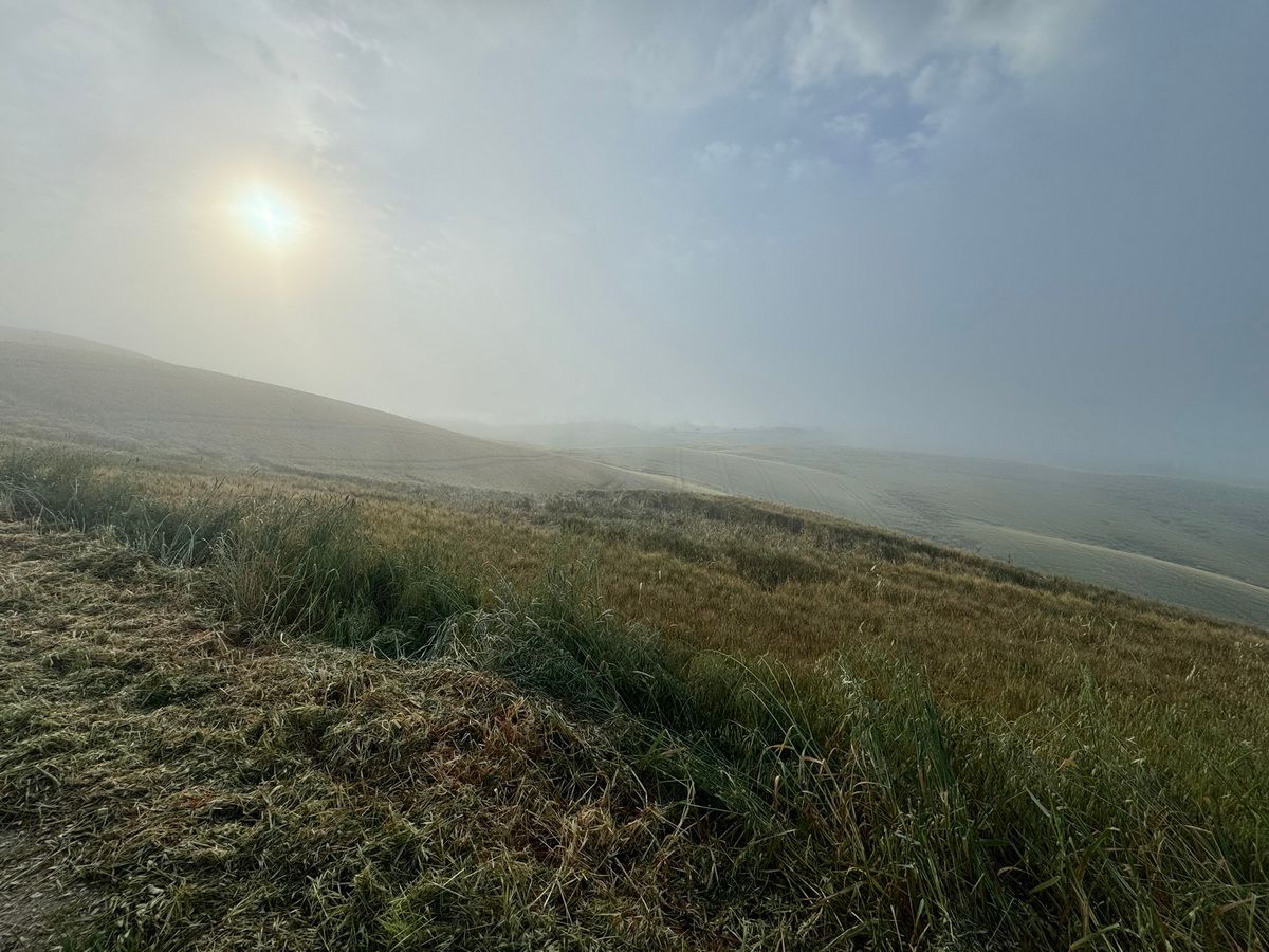 Tuscany Trail, Toskana, Gravel, Italy