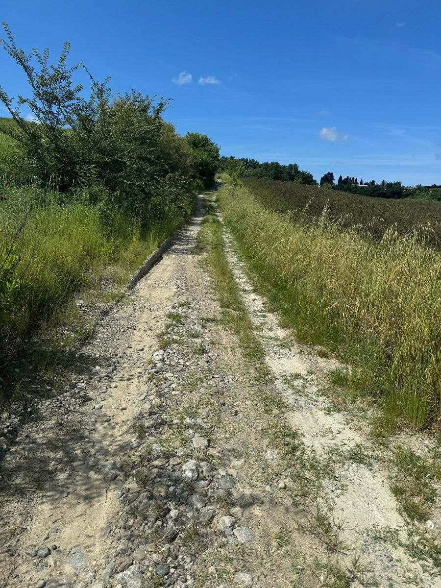 Tuscany Trail, Toskana, Gravel, Italy