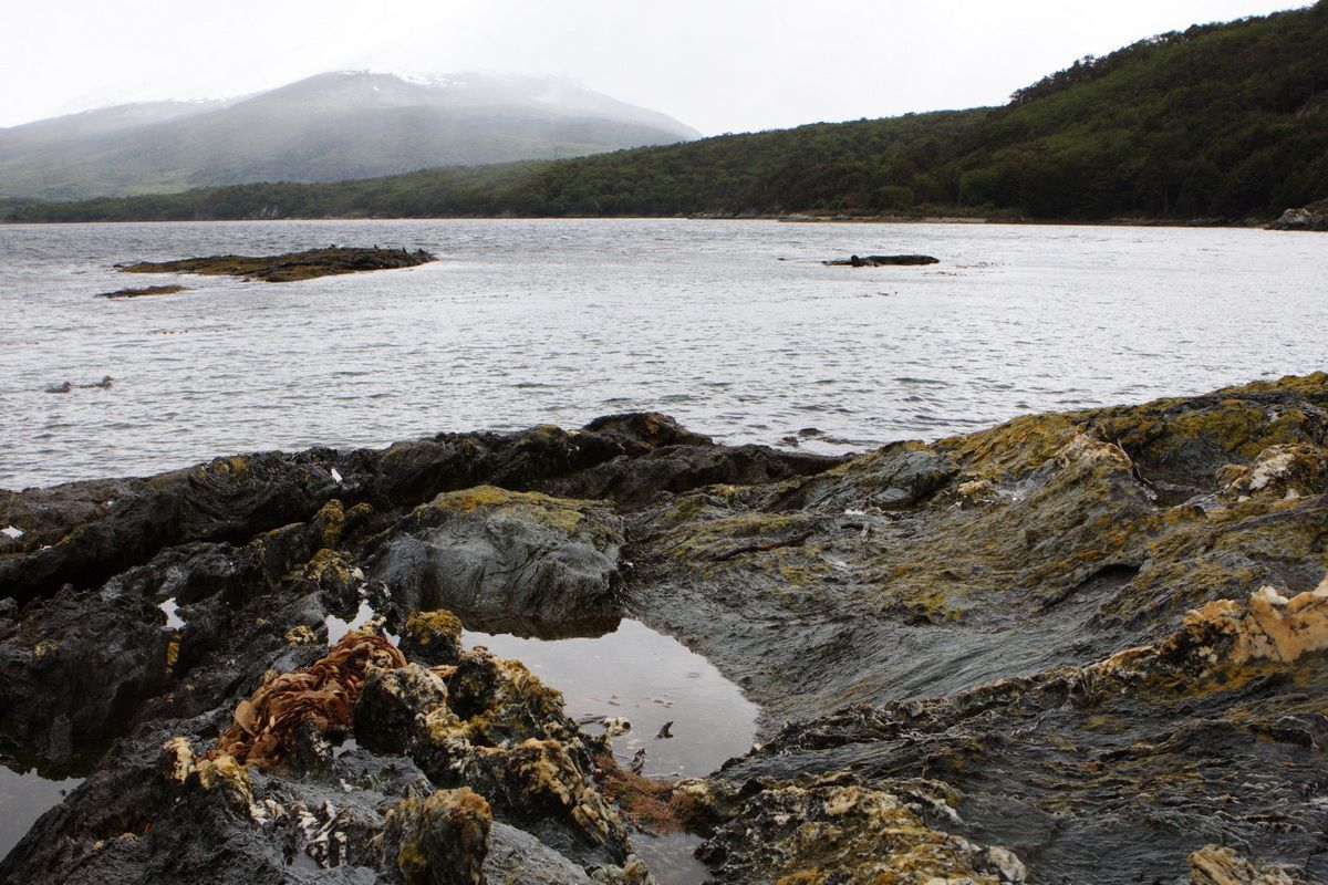 Südamerika, Argentinien, Patagonien, Trekking, Tierra del Fuego, Ushuaia, Hartmut Ulrich