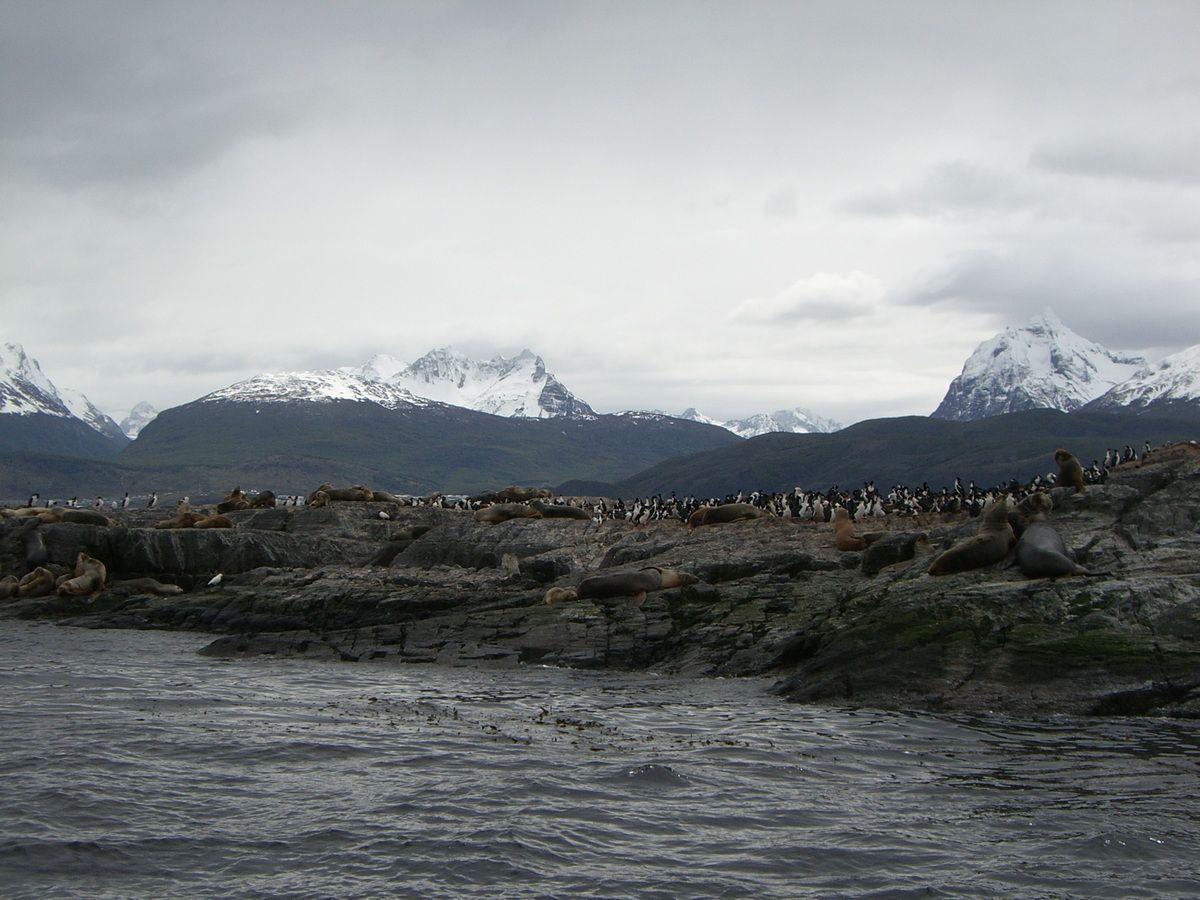 Südamerika, Argentinien, Patagonien, Trekking, Tierra del Fuego, Ushuaia, Hartmut Ulrich