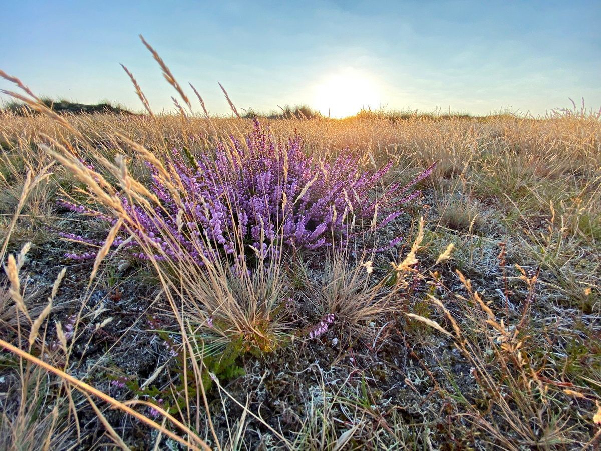 Fanö, Dänemark