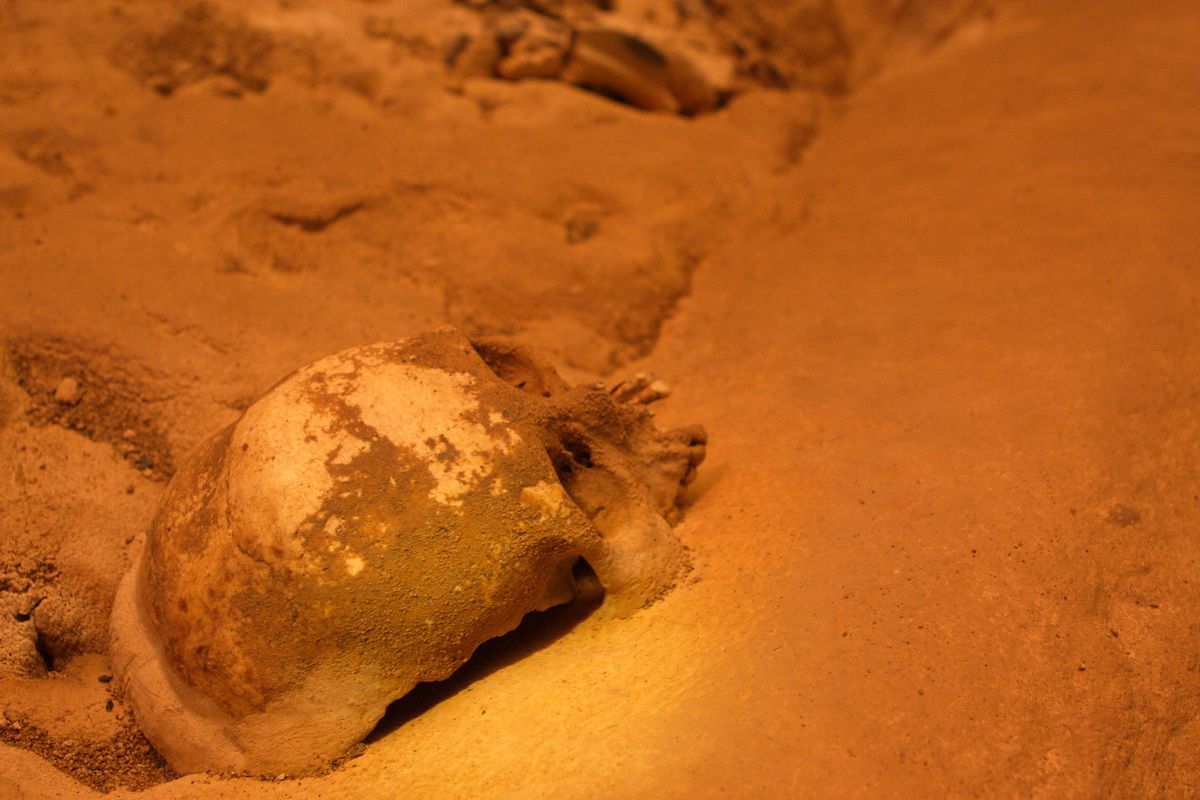 Mexico, Yucatan, Belize, Maya, Höhle, Cave, Archäologie, 400 Jahre alter Schädel