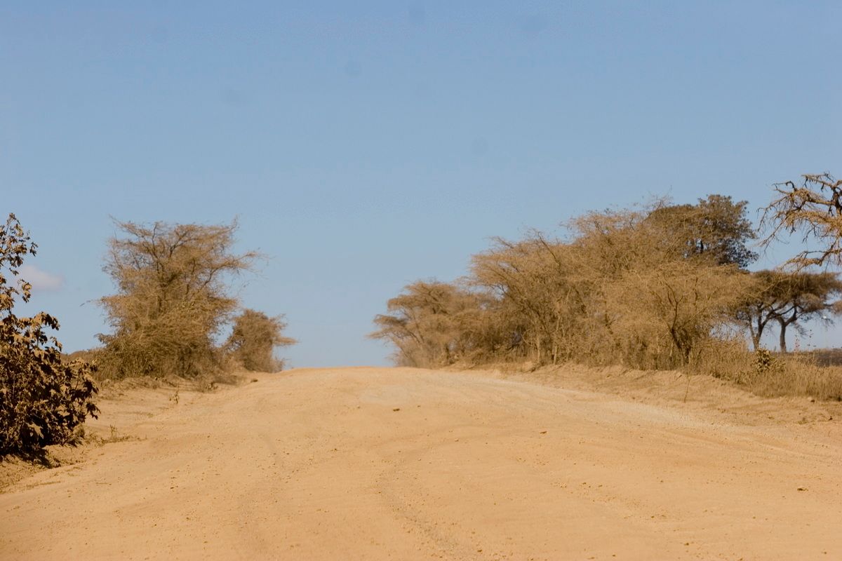 Ostafrika, Tansania, Kenia, Safari,
