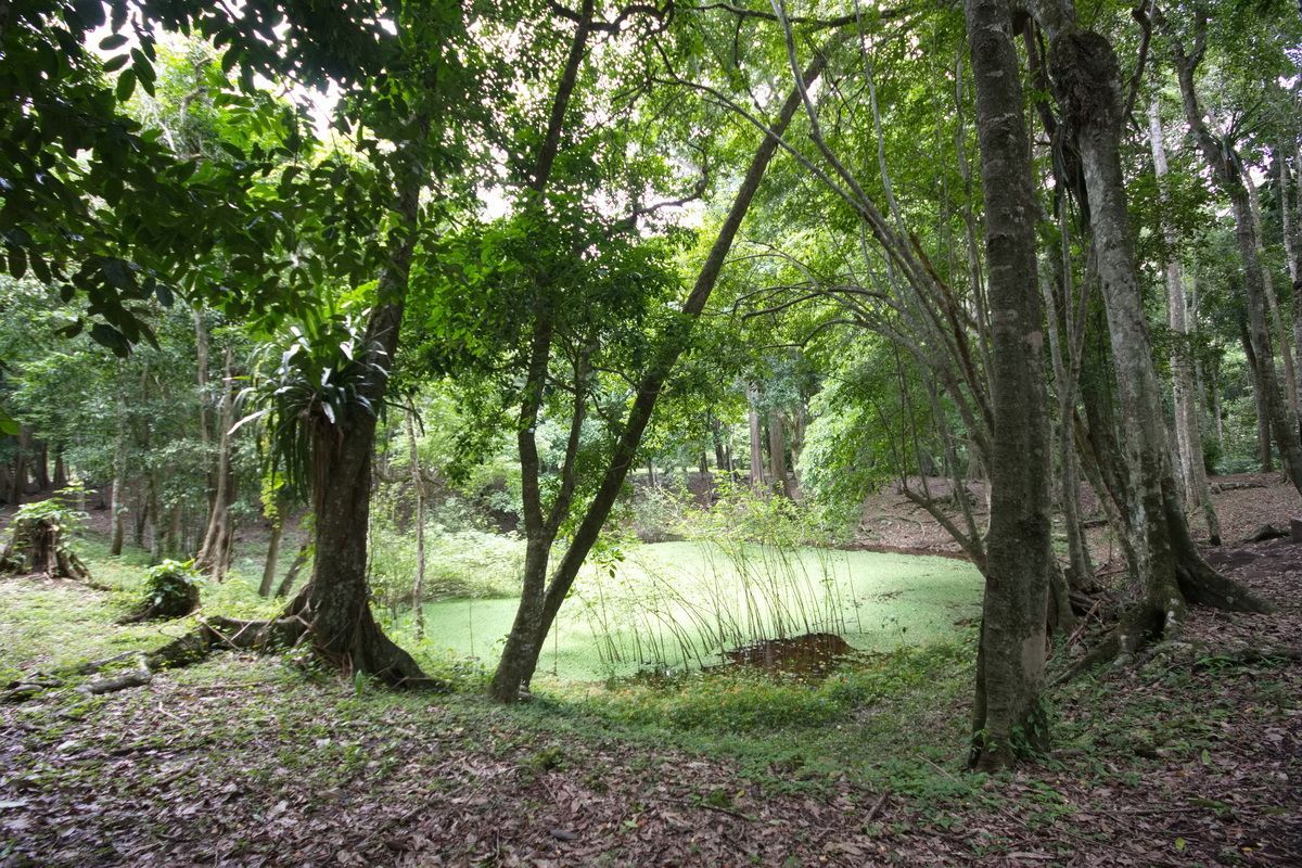 Belize, Mexico, Guatemala, Yucatan, Maya, Ancient Sites, Hartmut Ulrich