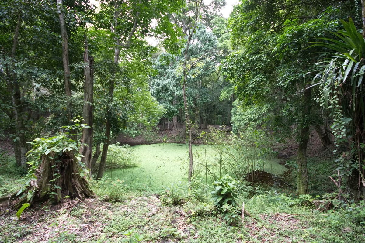 Belize, Mexico, Guatemala, Yucatan, Maya, Ancient Sites, Hartmut Ulrich