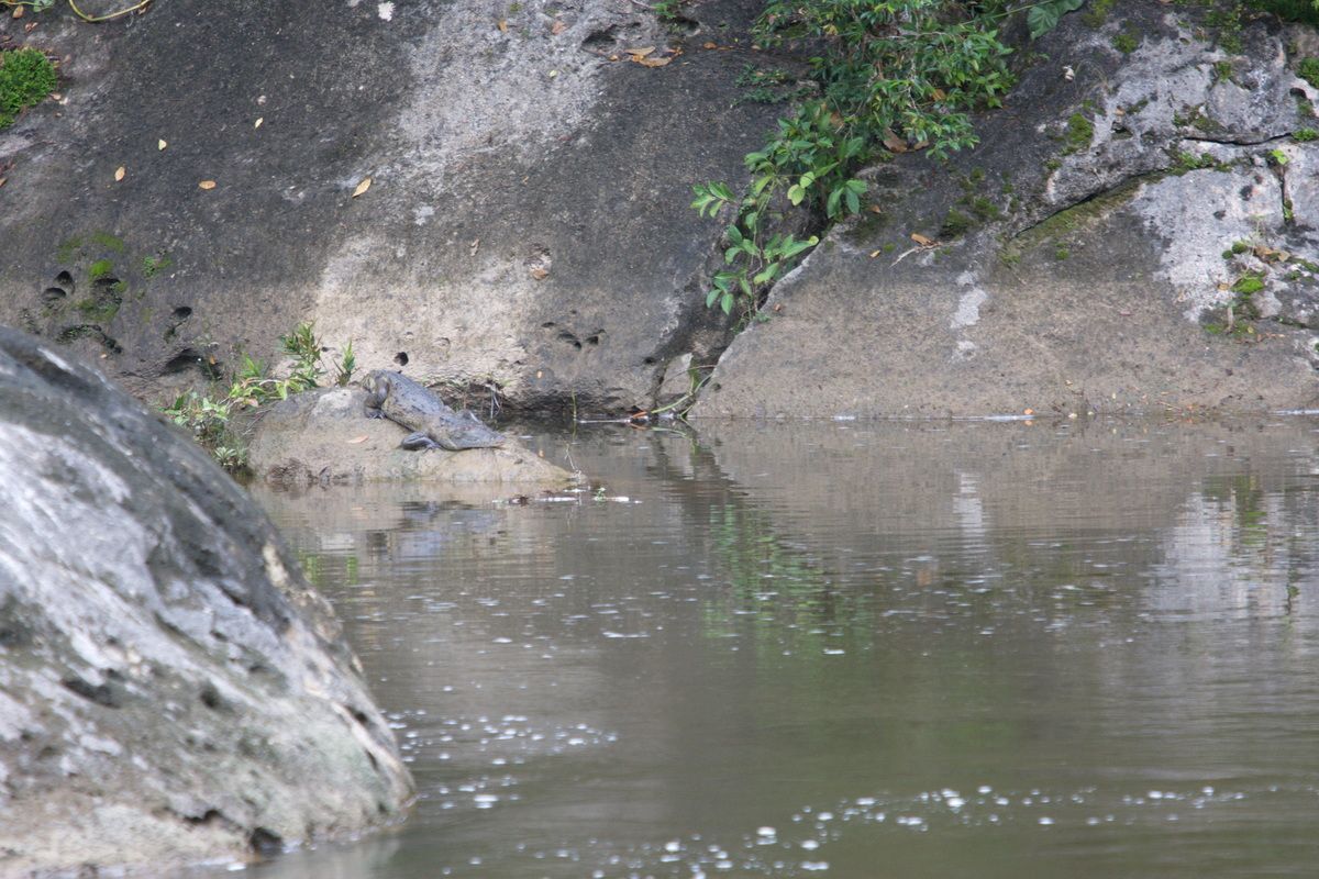 Belize, Mexico, Guatemala, Yucatan, Maya, Ancient Sites, Hartmut Ulrich