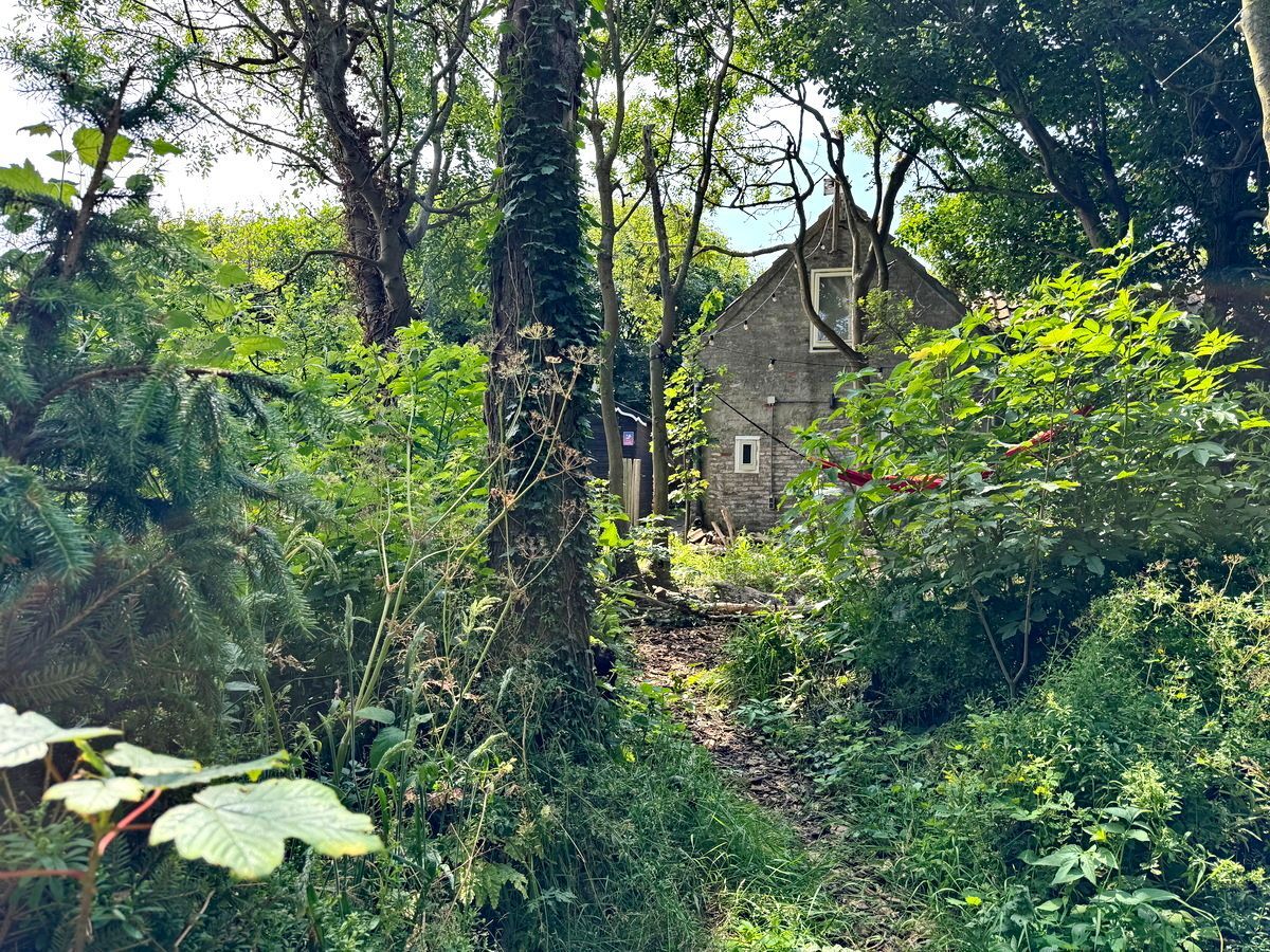 Haus im Wald