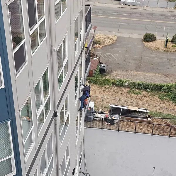 Two people on ropes working on the side of a high-rise building.