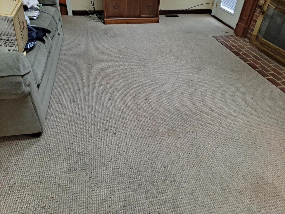 parry carpet cleaning before