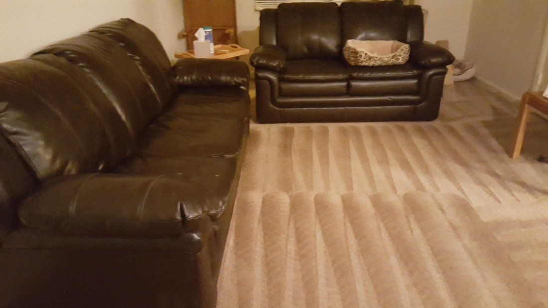 Clean carpet in bathroom