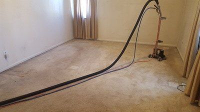 Clean Carpet