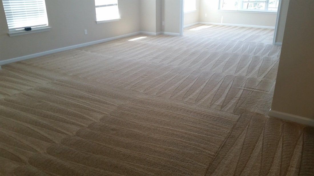 Cleaned Carpet