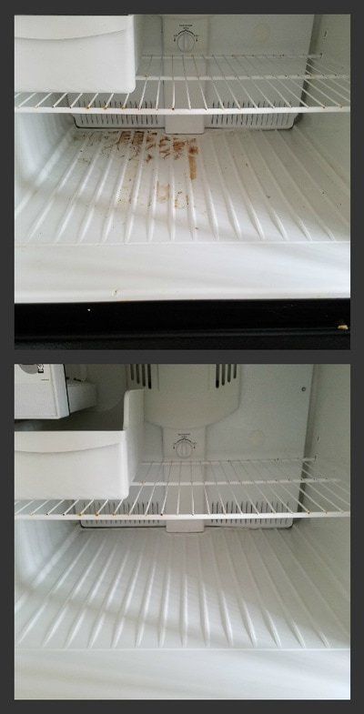 Clean carpet in living room