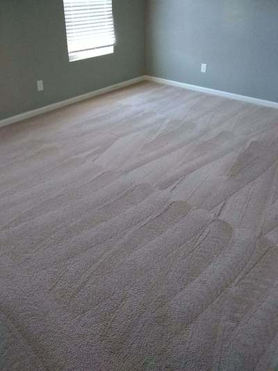Carpet Cleaning