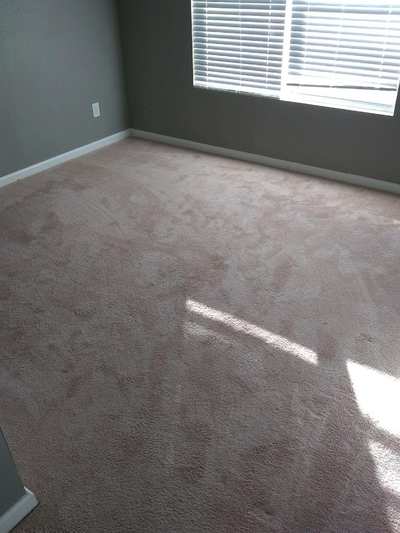 Carpet Cleaning
