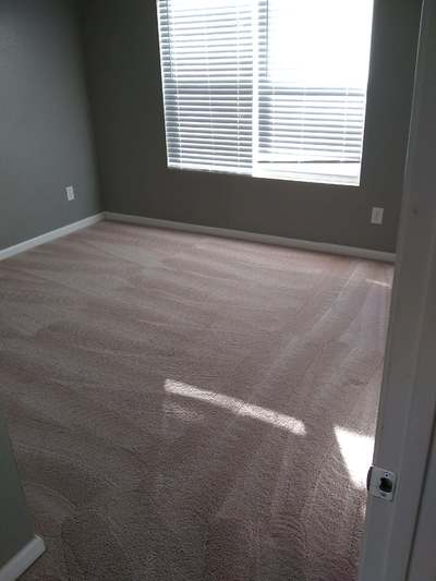 Carpet Cleaning