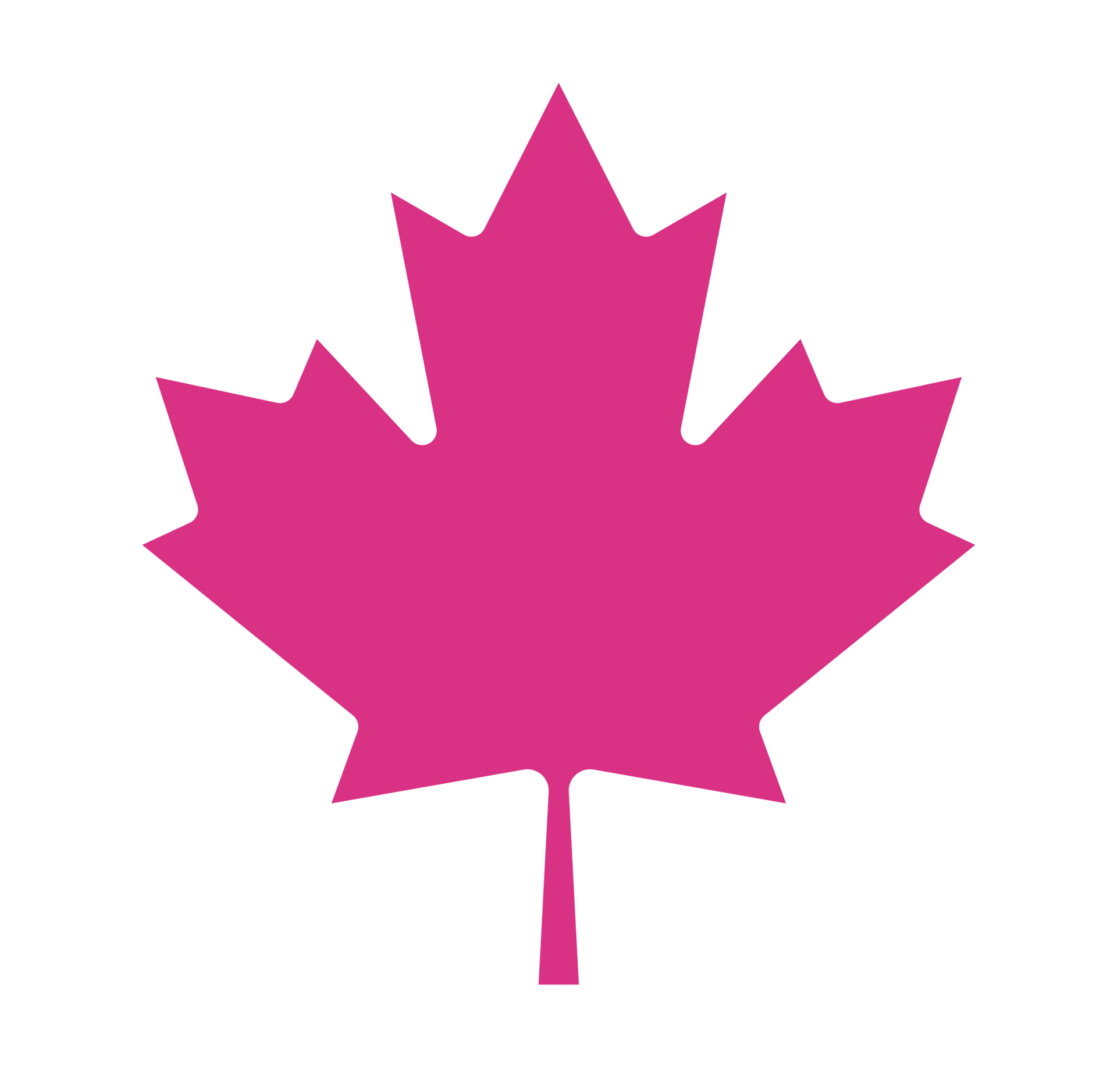 A pink maple leaf with a stem on a white background.