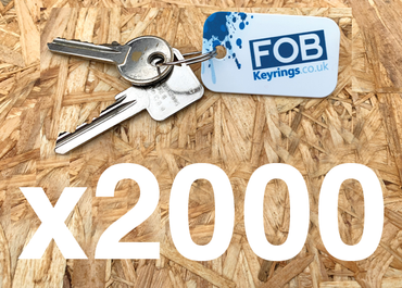 2000 printed Keyrings