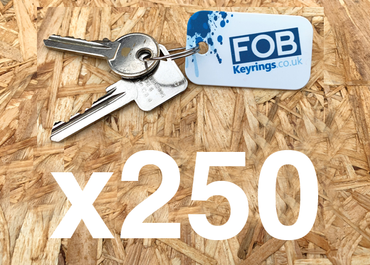 x250 Printed keyrings