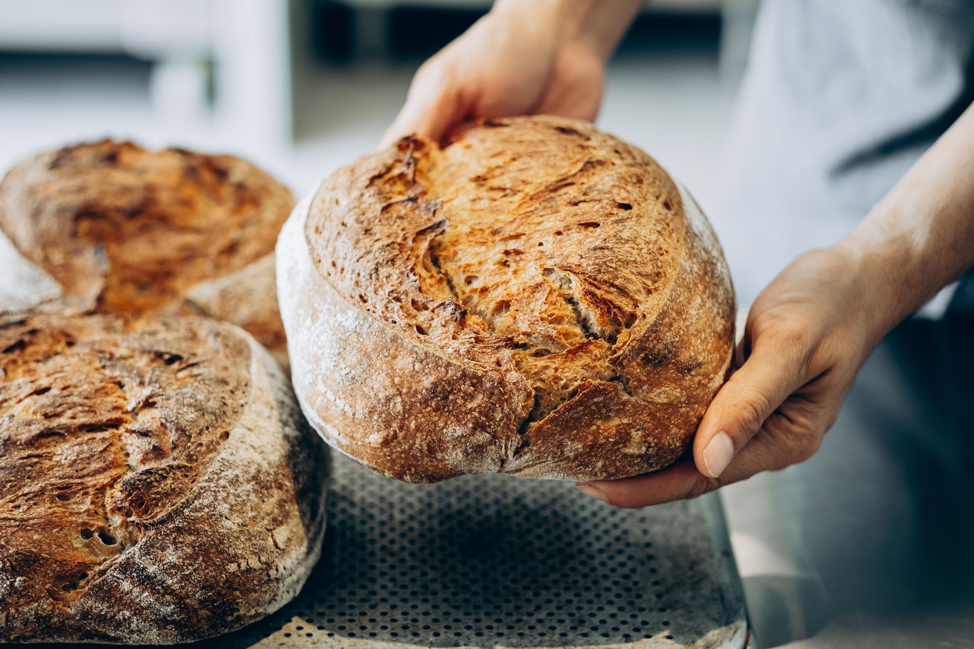 Persona che tiene in mano una pagnotta di pane e ne mostra altre, in un panificio.