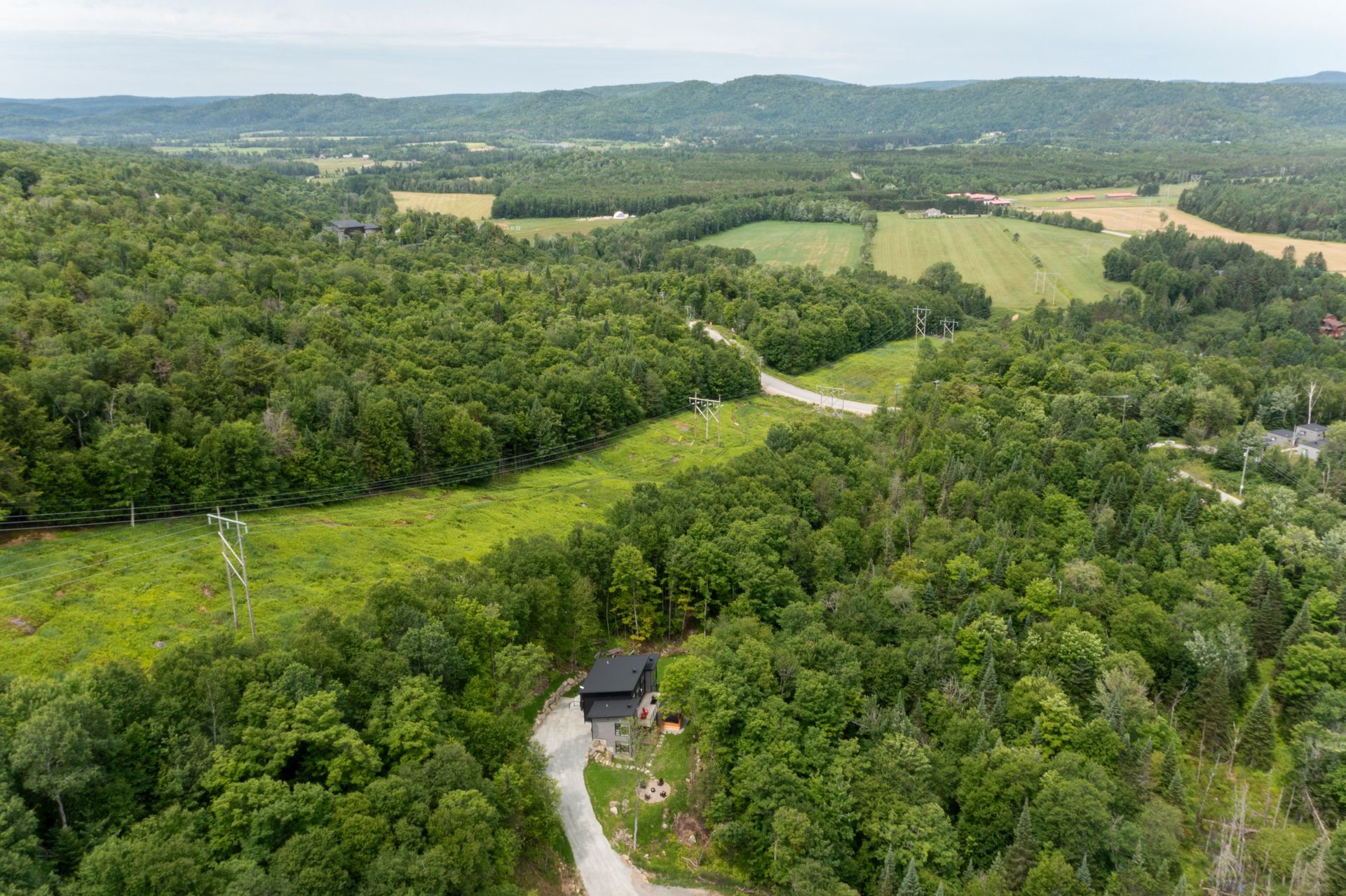 Vue aérienne d'une forêt verdoyante avec un chemin dégagé, une route et une maison isolée au premier plan. Collines vallonnées à l'horizon.