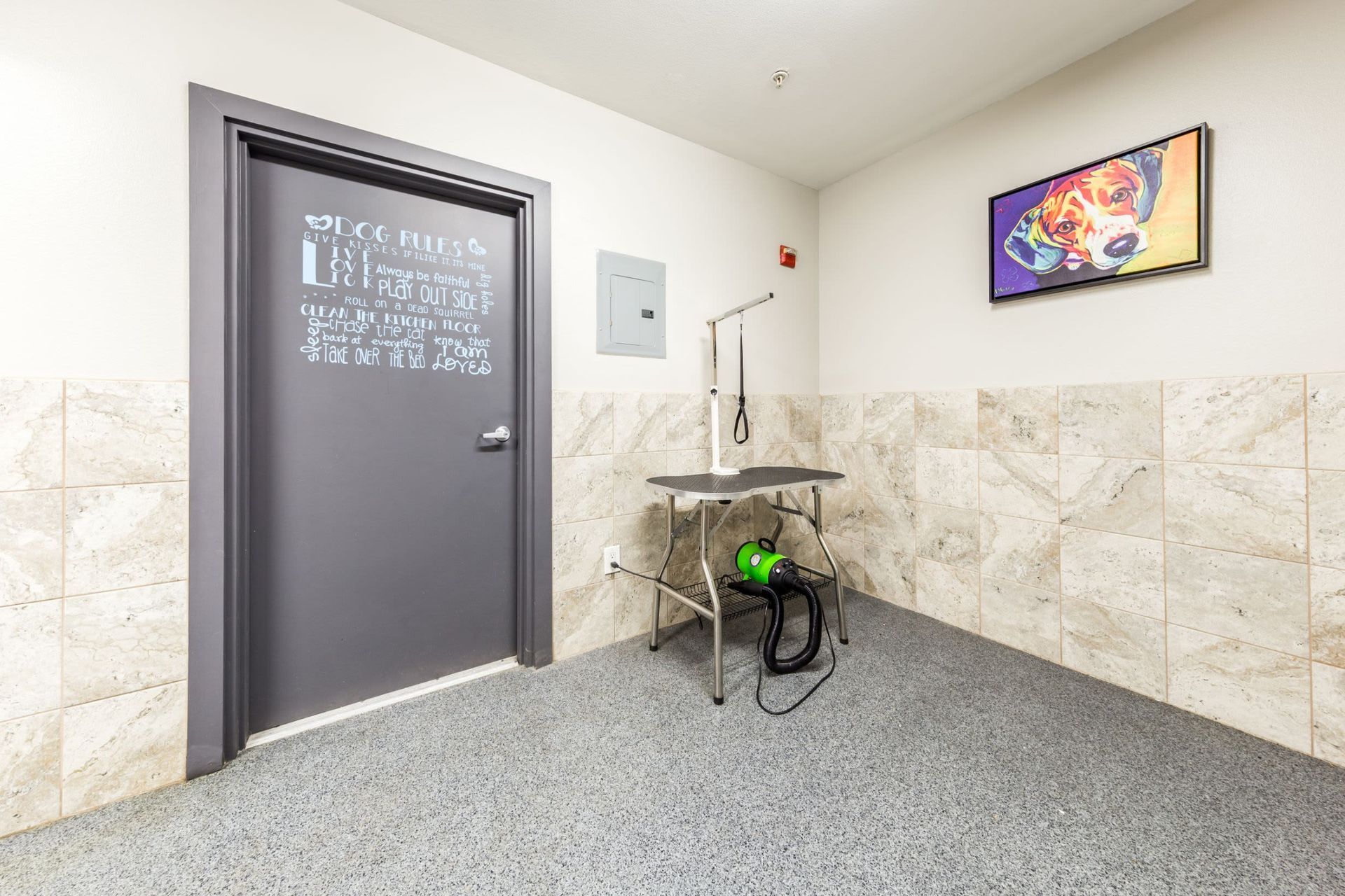 A tidy pet grooming room with a door displaying Dog Rules, a colorful framed picture of a dog on the wall, and a grooming table with a leash attachment next to a pet blow dryer at Marq 211 in Seattle, WA.