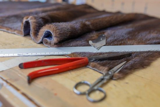 Una pelliccia marrone scuro è appoggiata su un tavolo di legno, accanto al quale si trovano un righello di metallo, delle pinze con manici rossi e delle forbici.