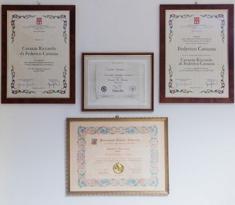 Quattro documenti e certificati incorniciati erano appesi a una parete bianca in una disposizione simmetrica.