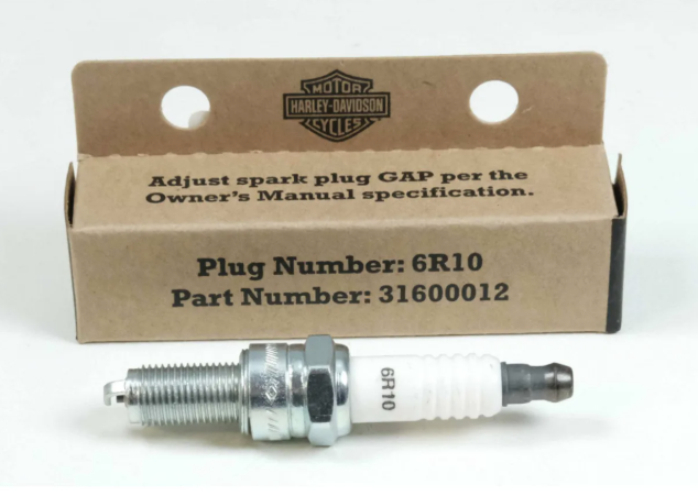 OEM HD Spark Plug 6R10 M8