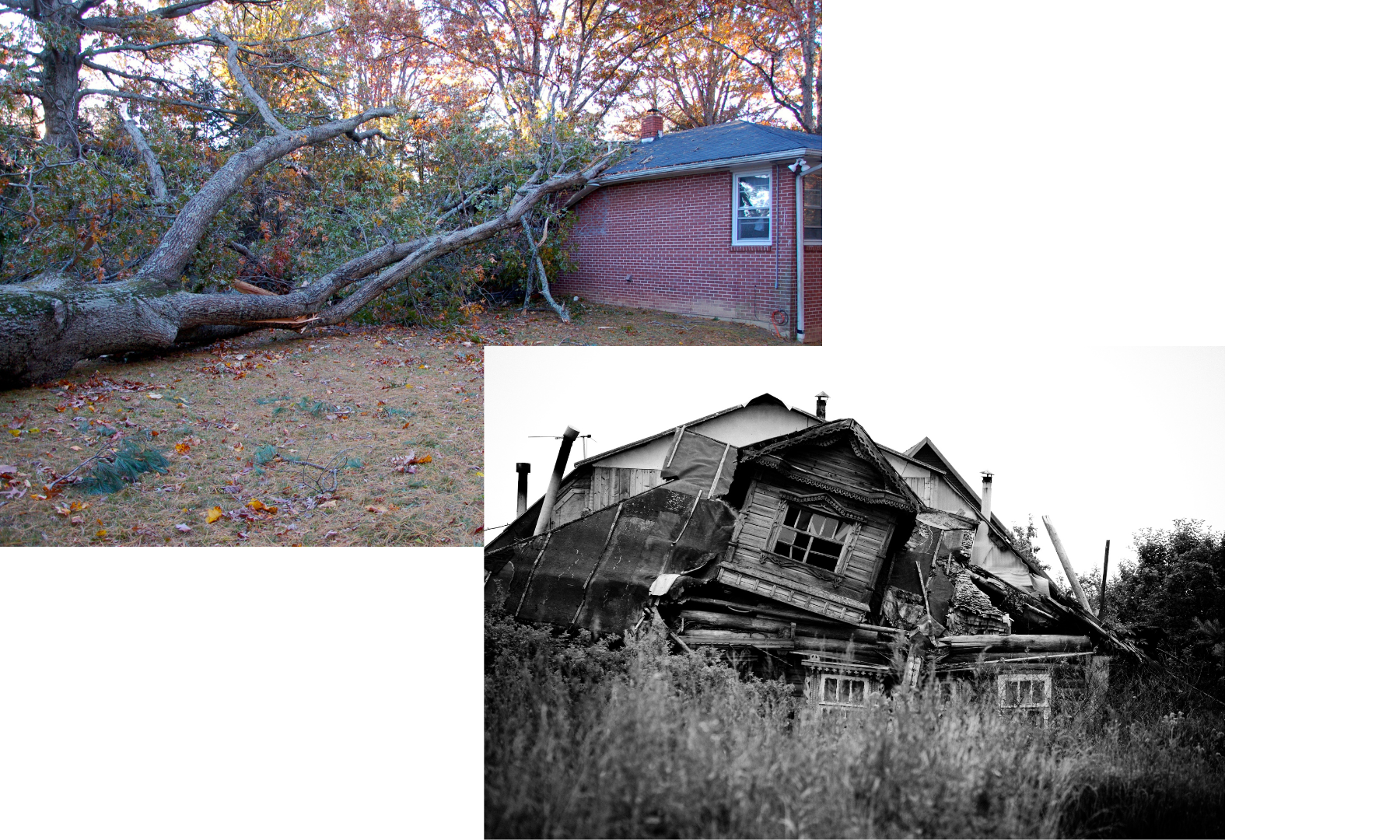 A black and white photo of a house and a tree