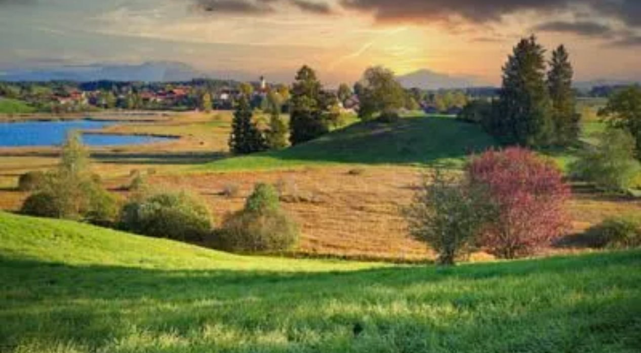 A sunset over a grassy field with trees and a lake in the background in Gray Tennessee