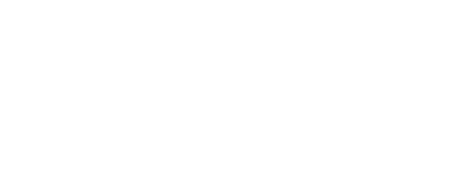 White Logo of Synergy In Action