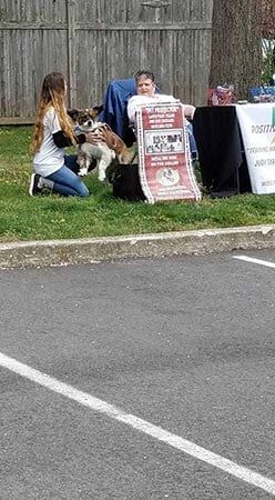 Parking Lot — Pet Services in Miller Place, New York