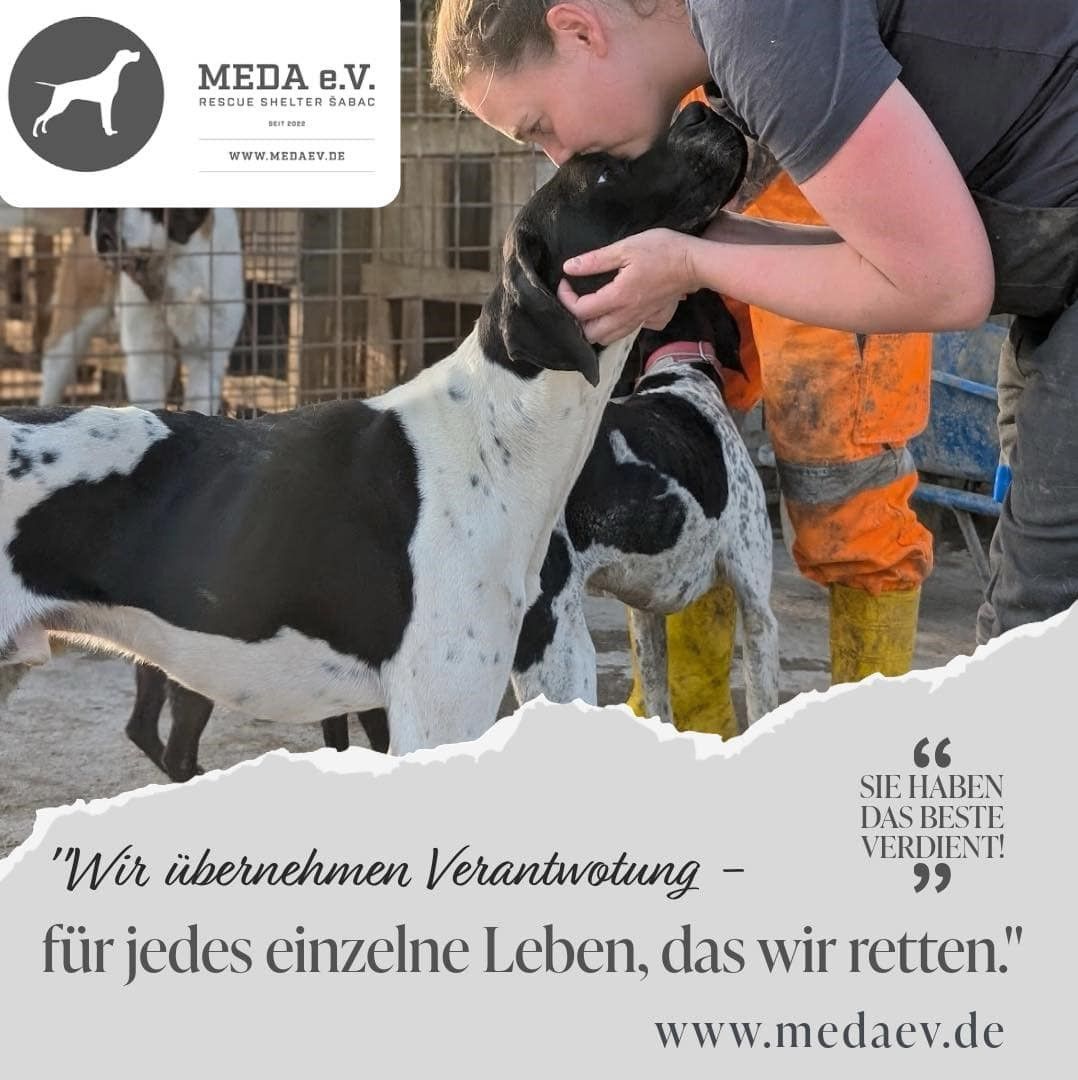 „Tierschutz heißt, Entscheidungen mit Herz und Verstand zu treffen –
nicht nach Wunschliste und Preis.“