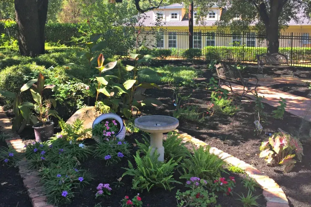 An image of our beautiful garden on our nine-acre campus in Colleyville, Texas.