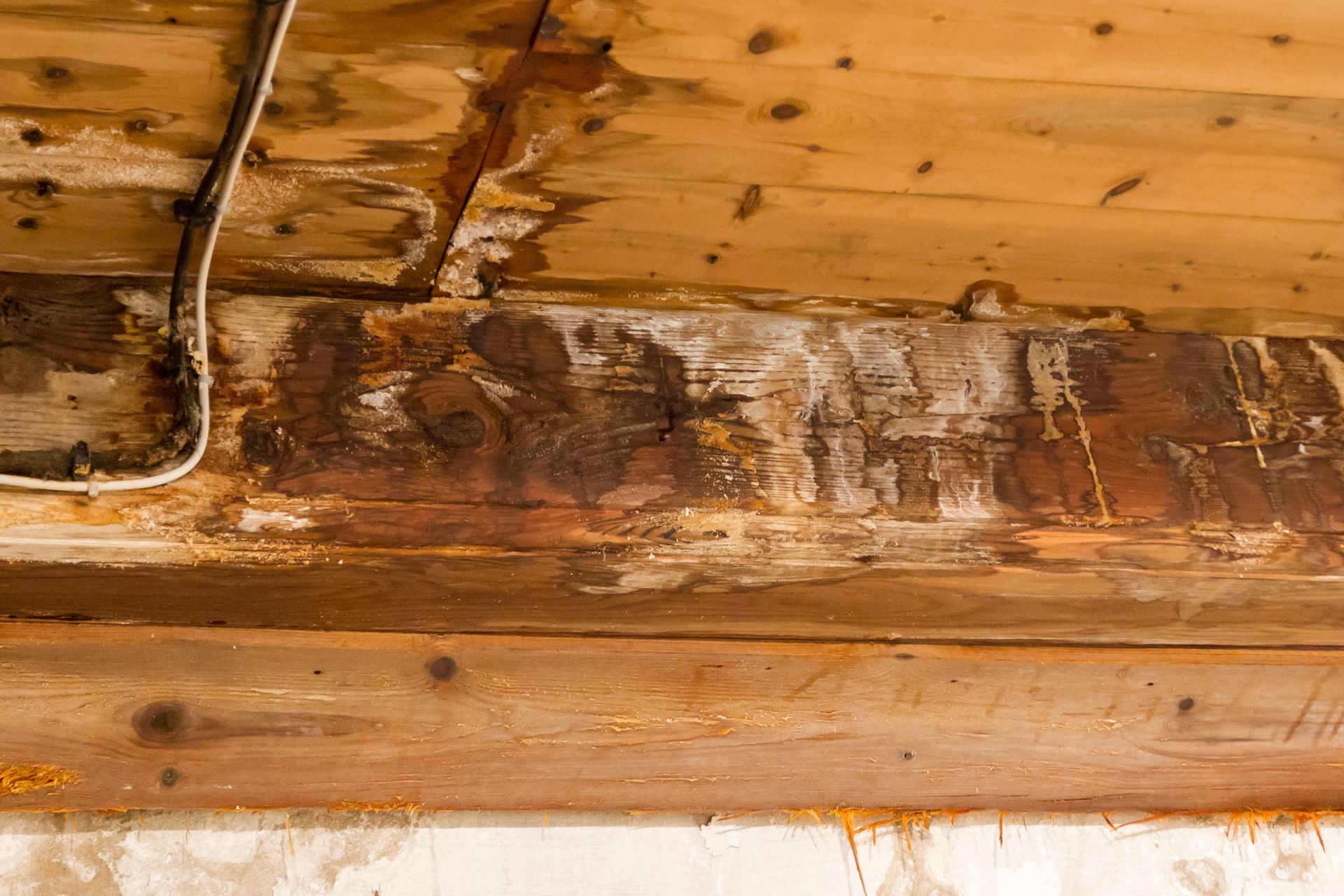 Water-damaged wooden beams in a ceiling, showing discoloration and white residue from moisture damage.