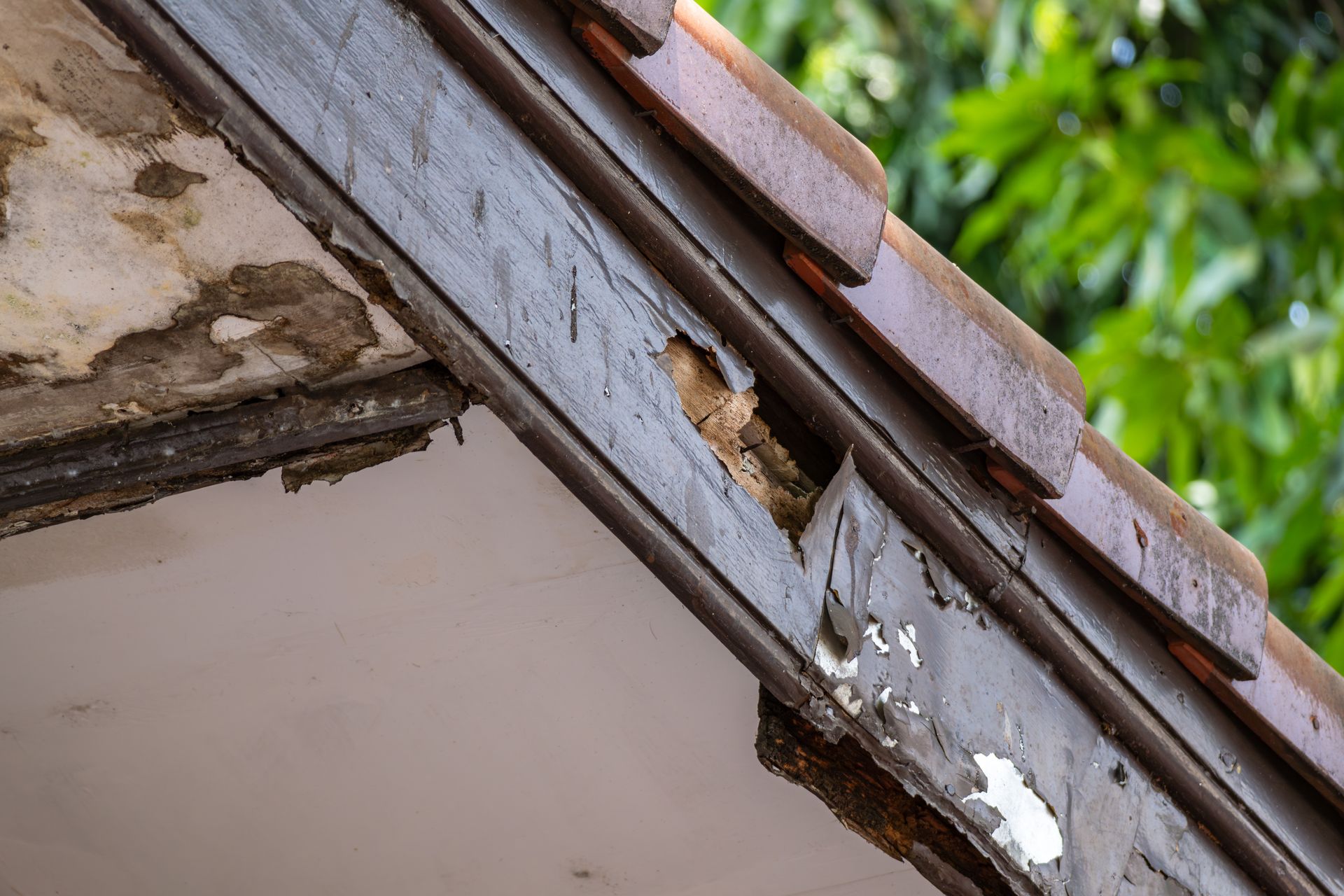 White gutter and eaves with peeling paint on a brick house.