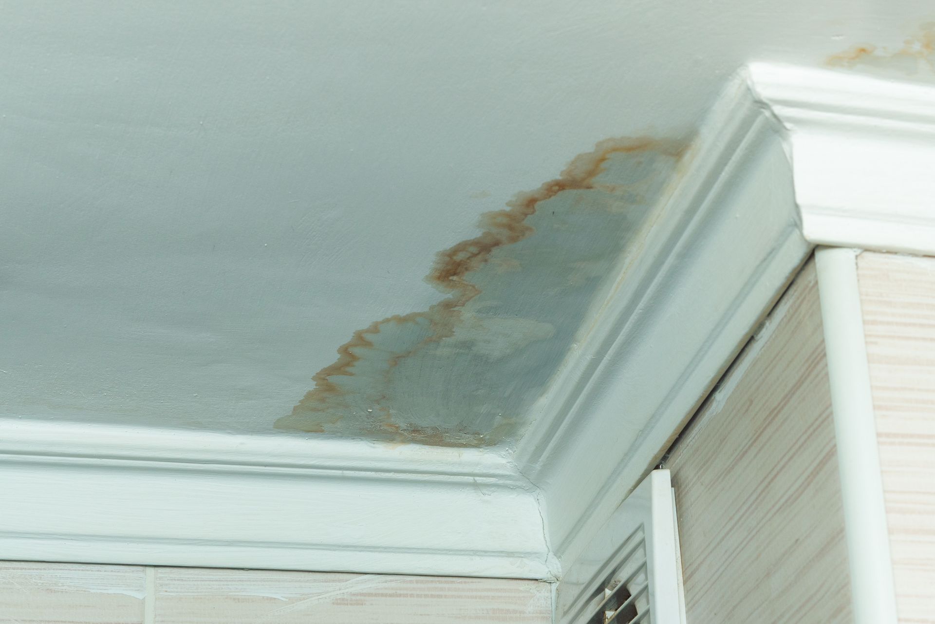 Water-stained ceiling corner with brown discoloration, near white crown molding and beige wall paneling.