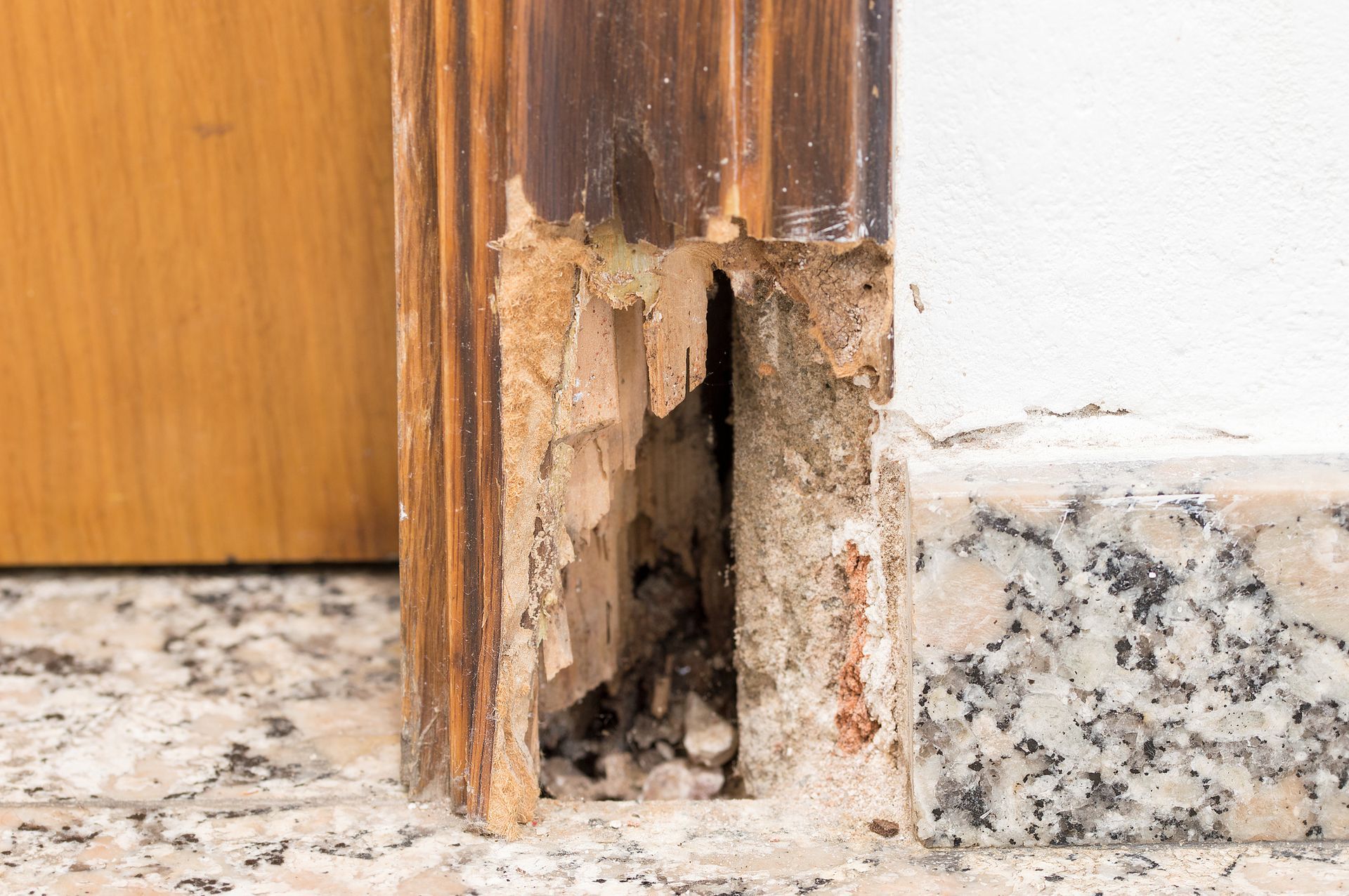 Damaged wooden door frame, possibly caused by termites, against a white wall and granite tile.