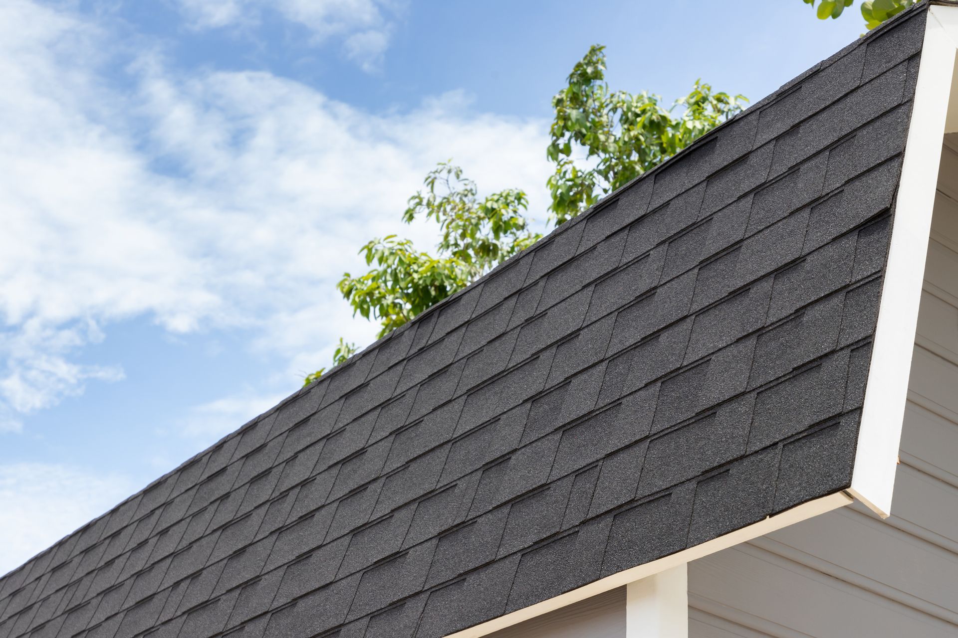 Dark asphalt shingle roof against a blue sky, with white trim and green tree foliage.