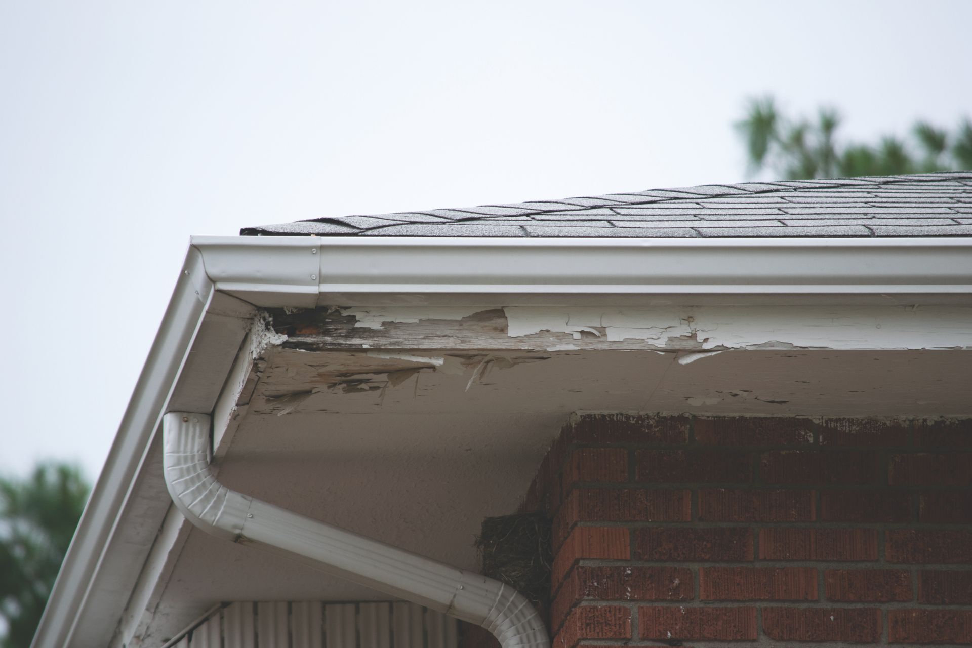White gutter and eaves with peeling paint on a brick house.