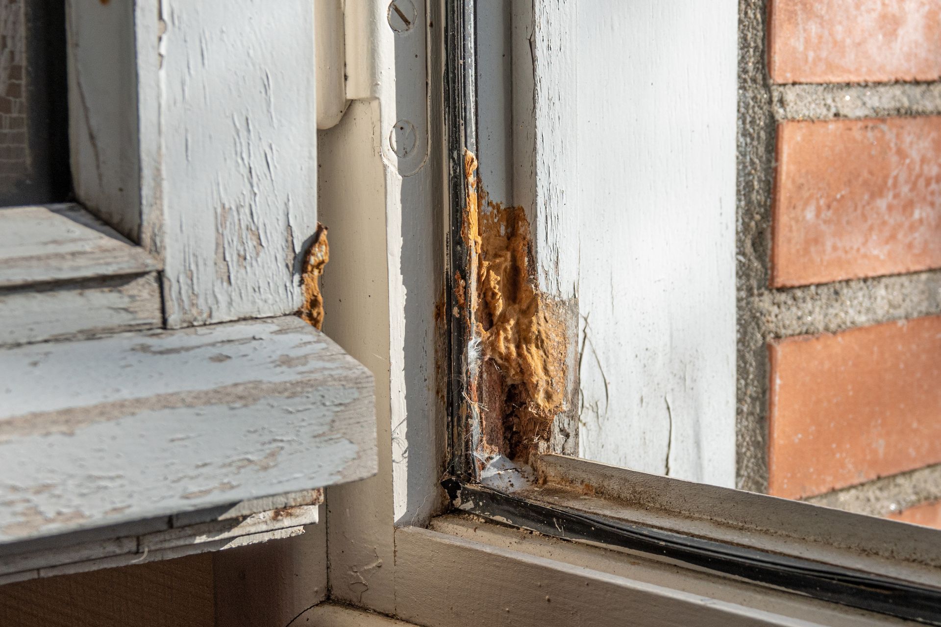 Exterior view of a window frame with peeling white paint and significant water damage. Brick wall visible.