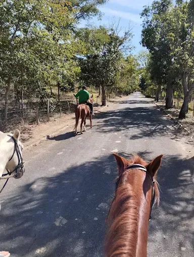 Dois cavaleiros em uma estrada pavimentada, um na frente com uma camisa verde. Estrada ladeada por árvores e uma cerca.