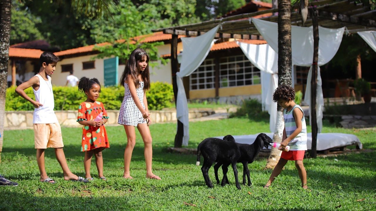 Crianças em roupas casuais interagindo com ovelhas negras em um gramado, com uma casa e um mirante ao fundo.